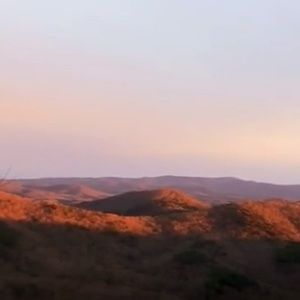 Meet your Posher, Dan